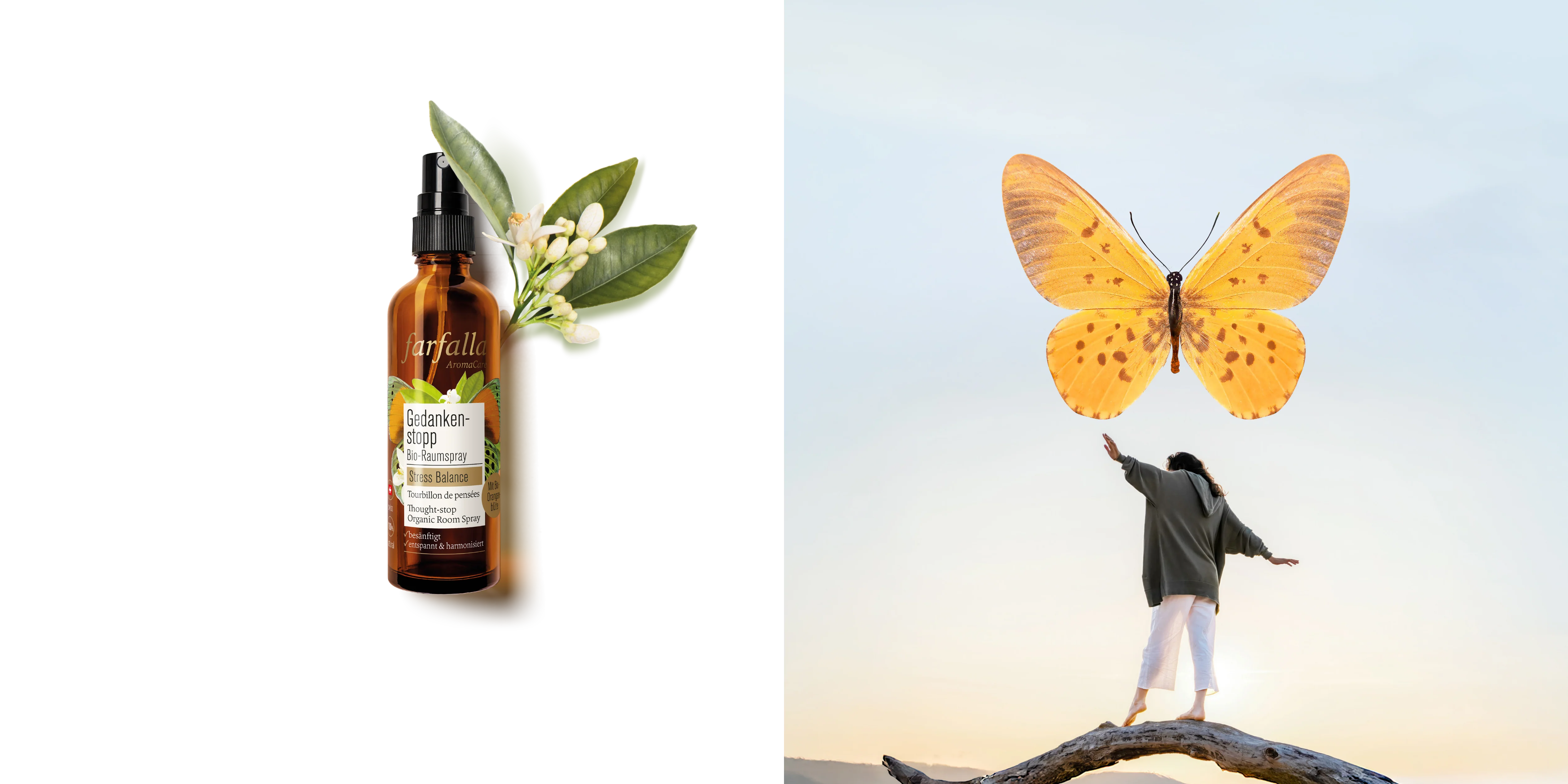 Welcome to Our Store